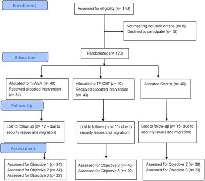 Investigating the Feasibility, Acceptability and Efficacy of Using Modified-Written Exposure Therapy in the Aftermath of a Terrorist Attack on Symptoms of Posttraumatic Stress Disorder Among Afghan Adolescent Girls